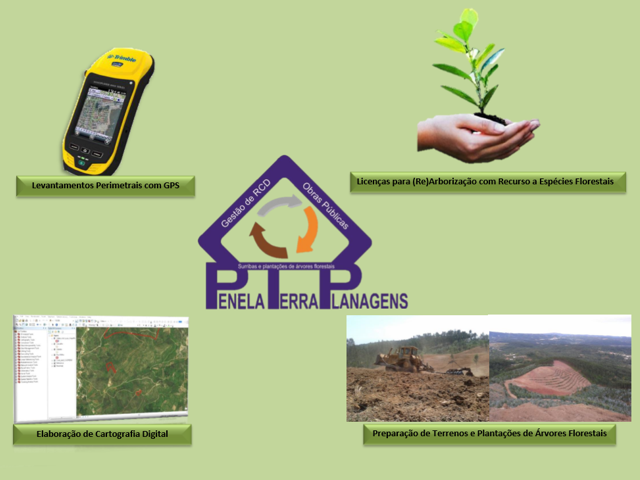 Serviços Florestais