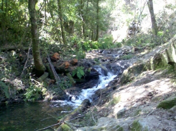 Reabilitação da Azenha da Pedra Ferida