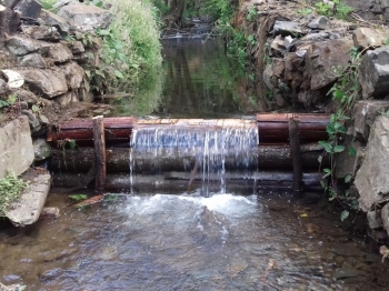 Corte e Remoção de Material Vegetal e Arbustivo Ardido no concelho de Penela